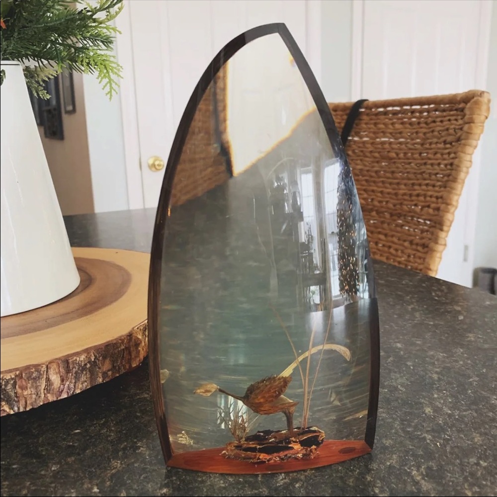 Vintage Lucite Encapsulated Bird Sculpture – Natural Materials + Wood-Look Sides